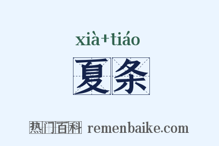 夏条是什么意思的图片